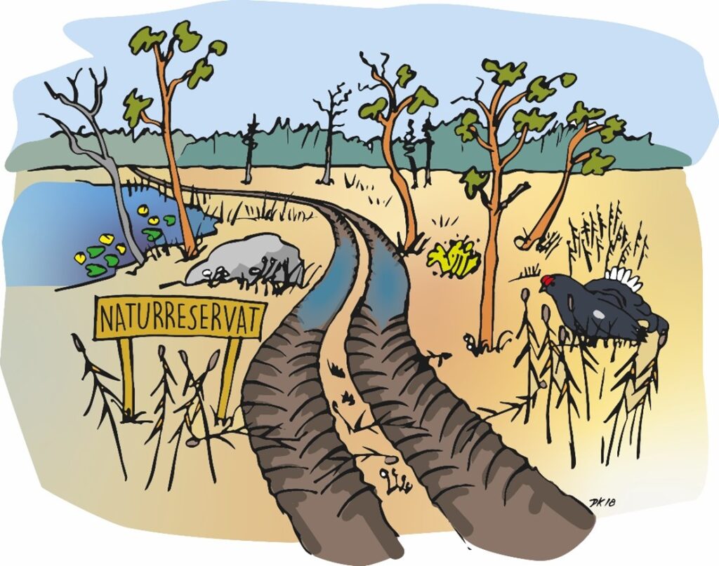 Illustration som visar körskada i ett naturreservat