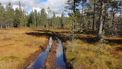 Två djupa däckspår syns över en barmark. Däckspåren är vattenfyllda.