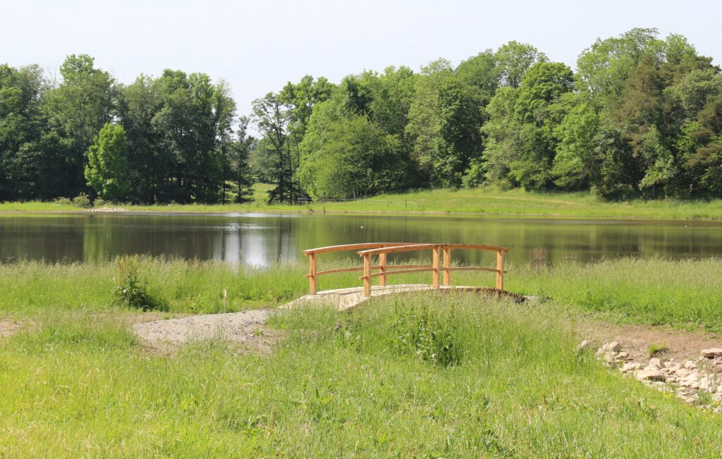 våtmark varnhem klostersjön